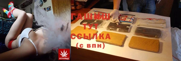 хмурый Алексин