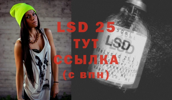 хмурый Алексин